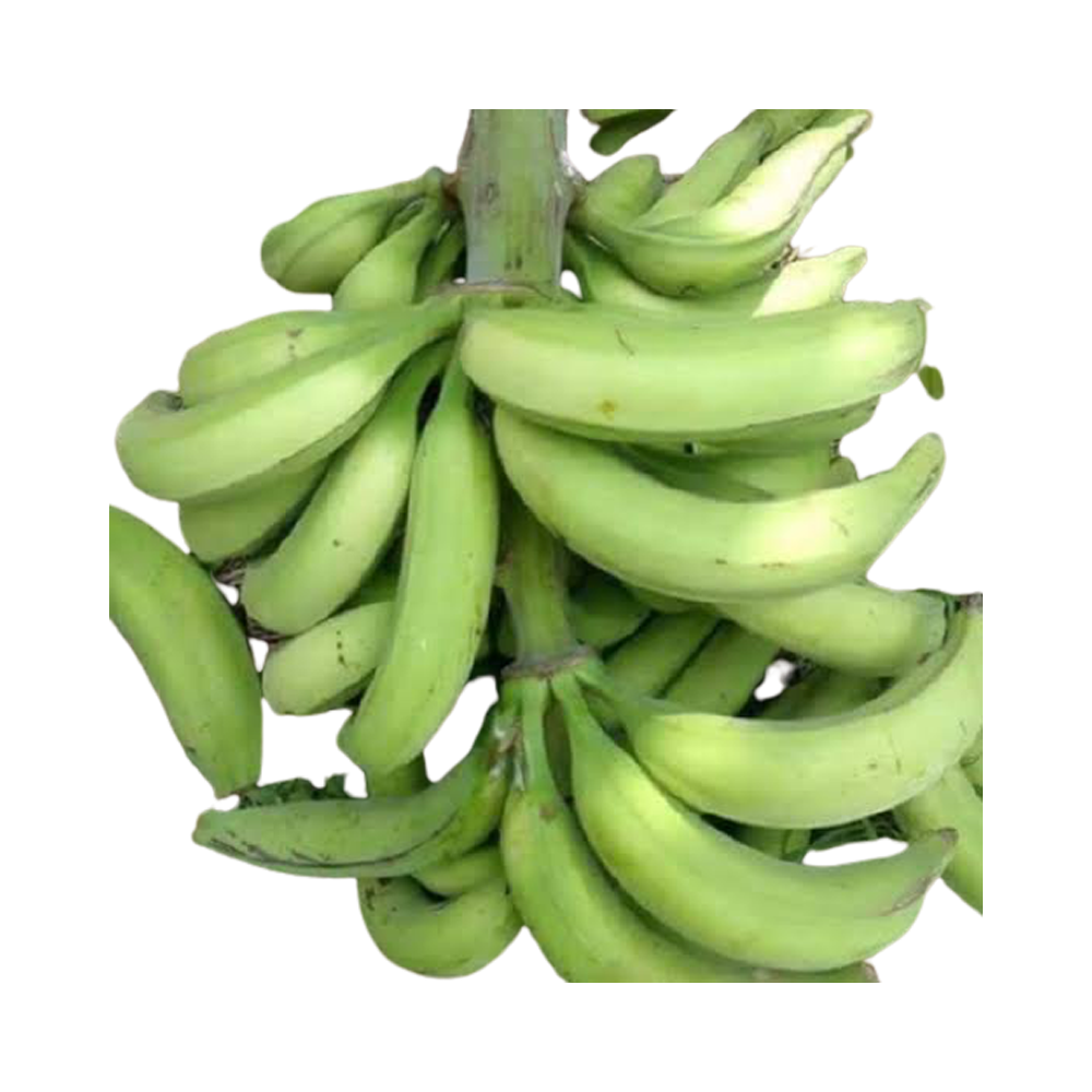 Plantain